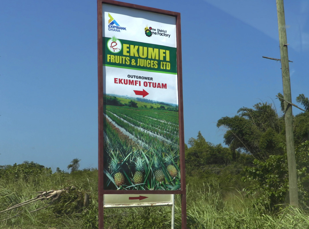 1D1F Ekumfi Pineapple Processing Facility artifact 1