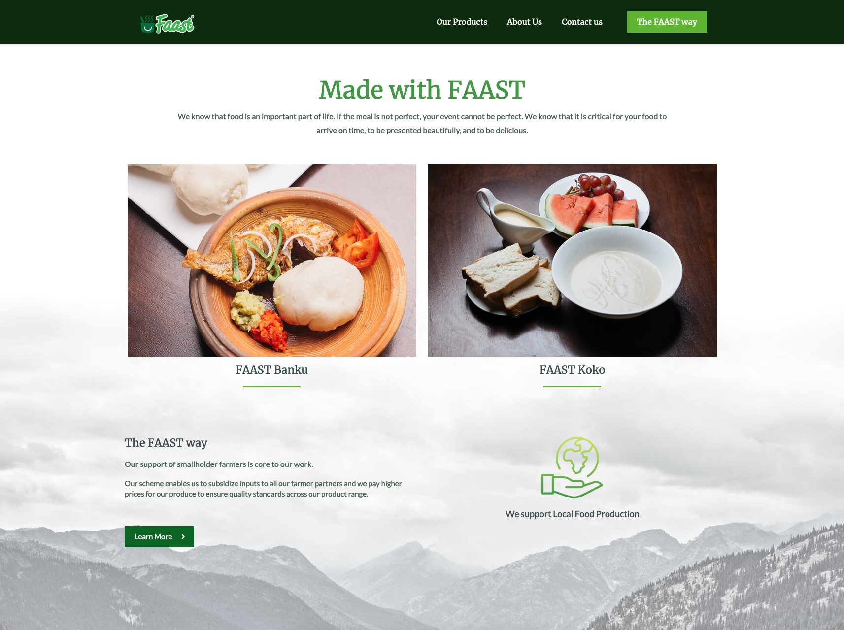 Faast Mmori Indigenous FMCG Packaging & Digital Platform artifact 10