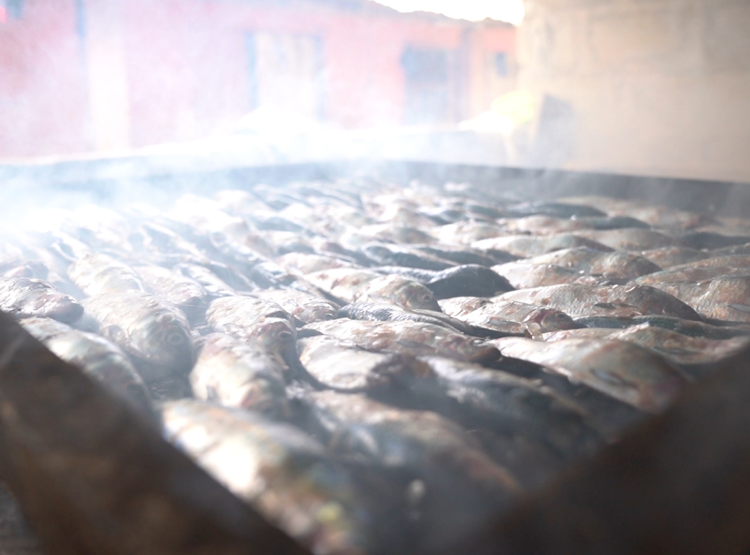 OXFAM: Impact of Coastal Erosion in Ghana artifact 3